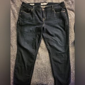 Torrid Denim Jeans